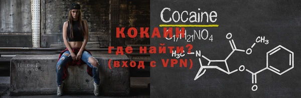 шишки Осташков
