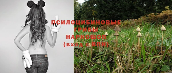 сатива Алексин