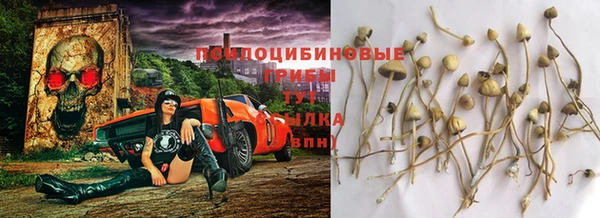 мефедрон мука Алексеевка